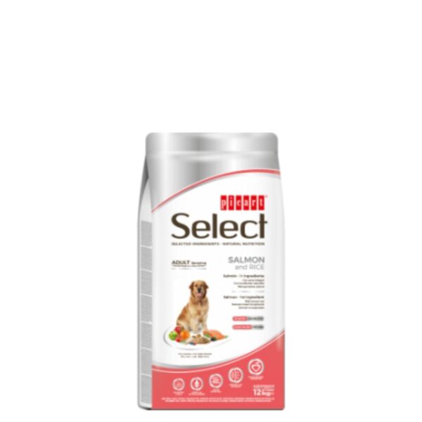 SELECT - Granuly pre psy – Salmon & Rice 3kg