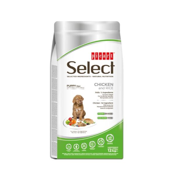 SELECT - Granuly pre psy – Puppy Maxi Chicken & Rice Large Breed 12kg