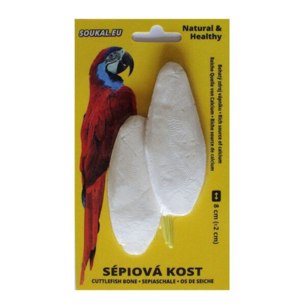 Sépiová kosť na karte cca 8 cm (2 ks)