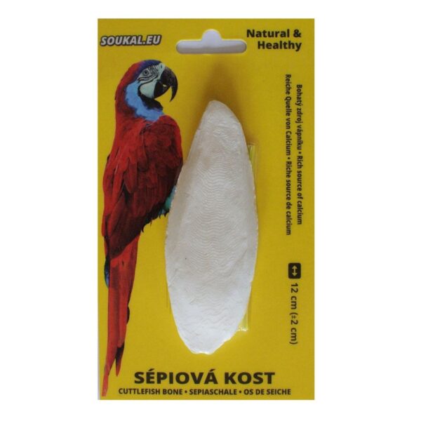Sépiová kosť na karte cca 12 cm (1 ks)