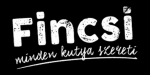 logo_fincsi1